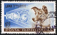 220px-Posta_Romana_-_1959_-_Laika_120_B