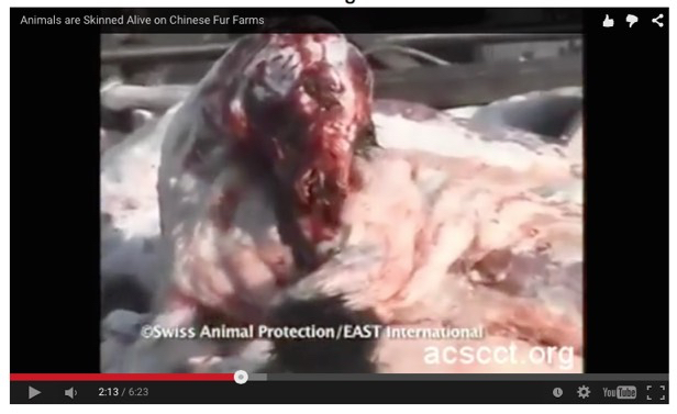 FinderScreenSnapz056