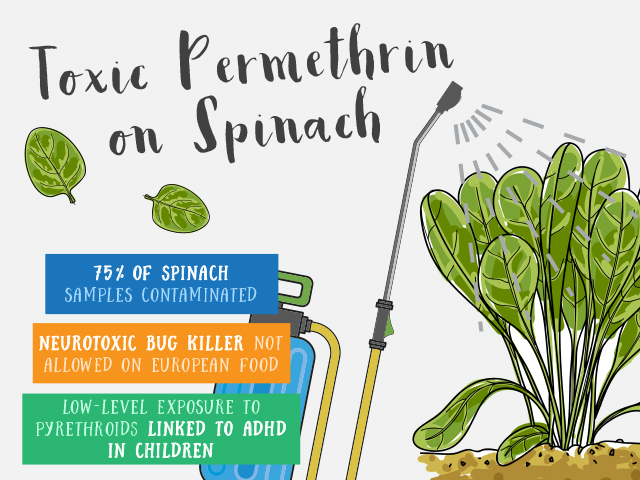 EWG_Email_SpinachGraphic2_C02